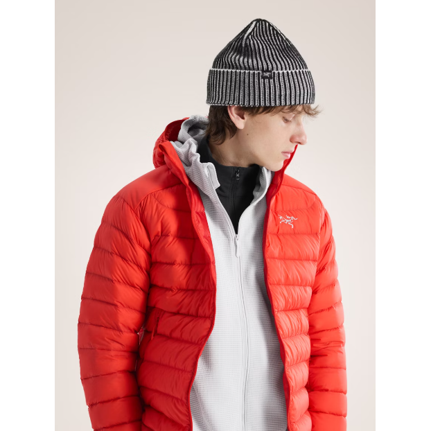 Arc'teryx Ribbed Toque